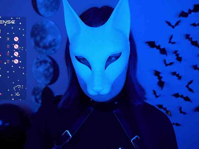 -VULPECULA- webcam