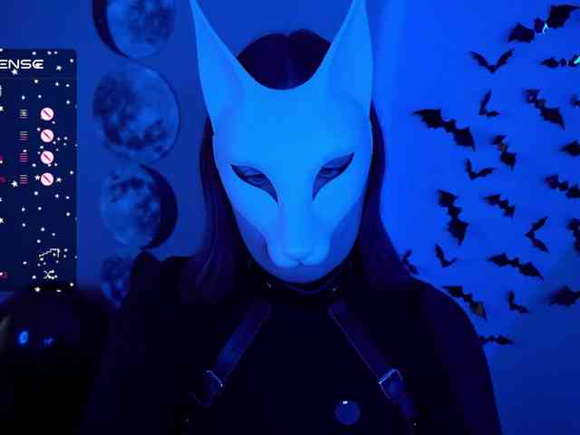 -VULPECULA- webcam