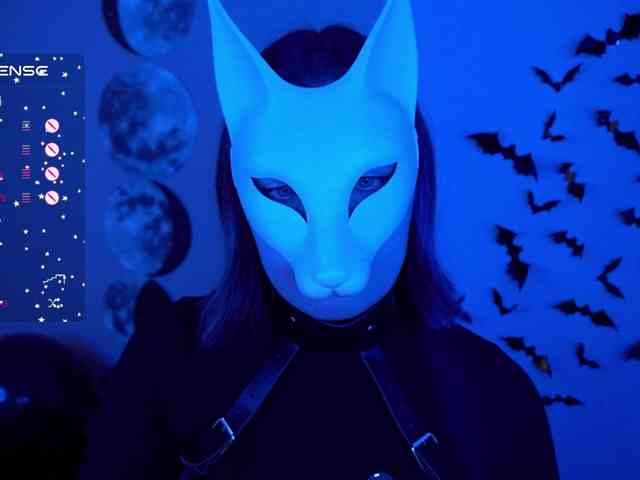 -VULPECULA- webcam