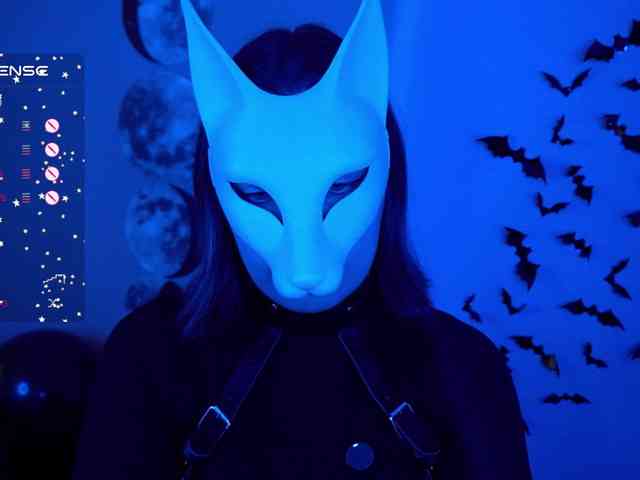 -VULPECULA- webcam