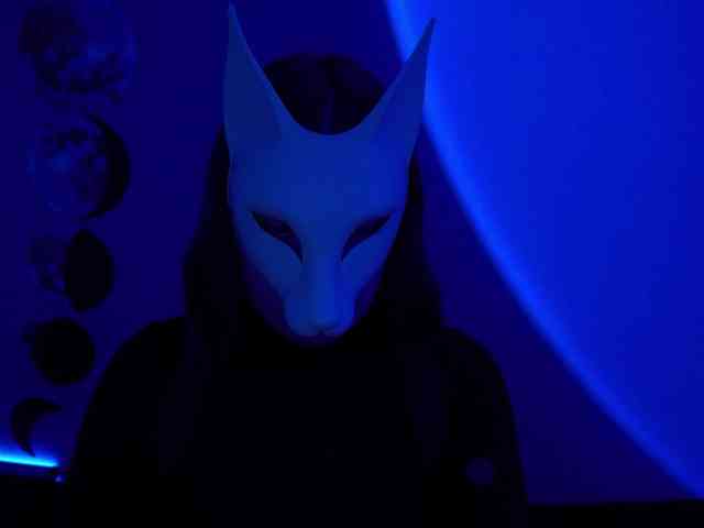 -VULPECULA- webcam