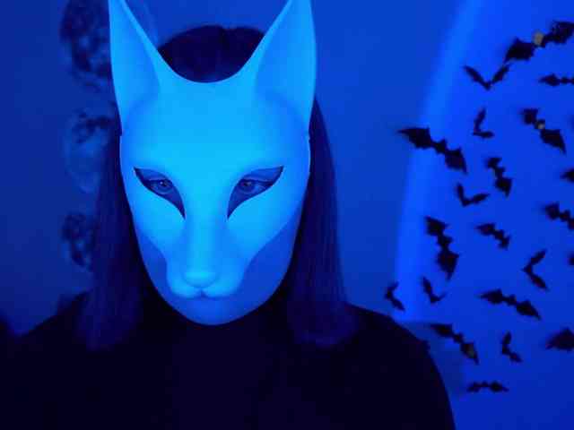 -VULPECULA- webcam