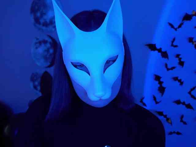-VULPECULA- webcam