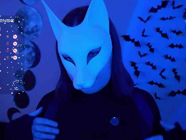 -VULPECULA- webcam