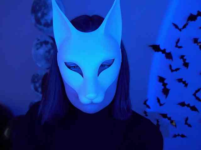 -VULPECULA- webcam