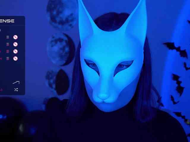 -VULPECULA- webcam