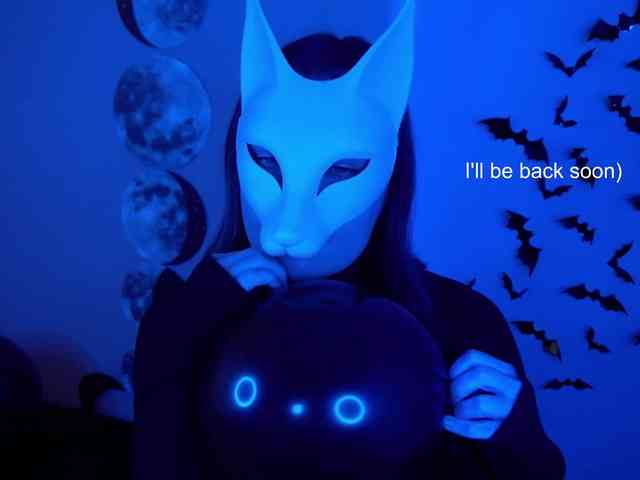 -VULPECULA- webcam