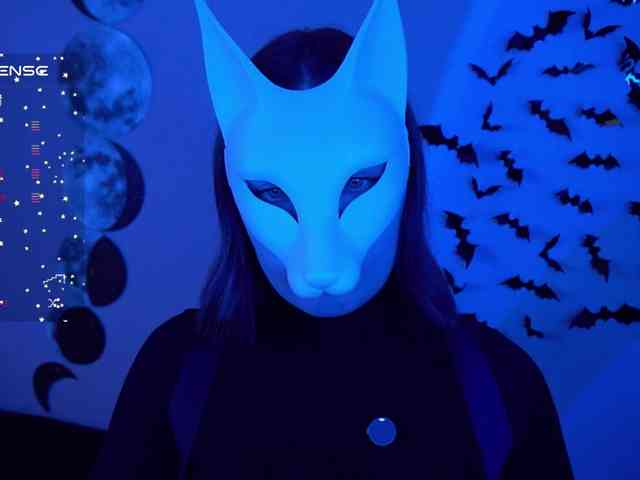 -VULPECULA- webcam