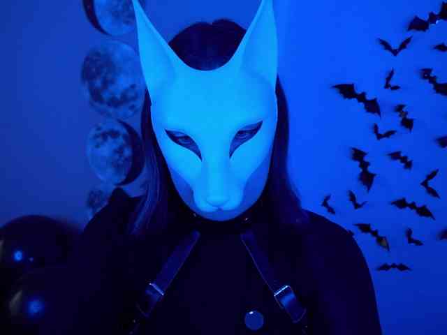 -VULPECULA- webcam