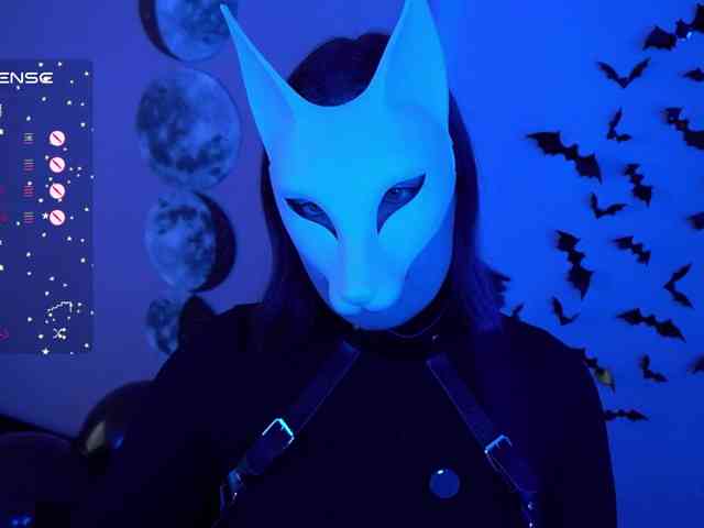-VULPECULA- webcam
