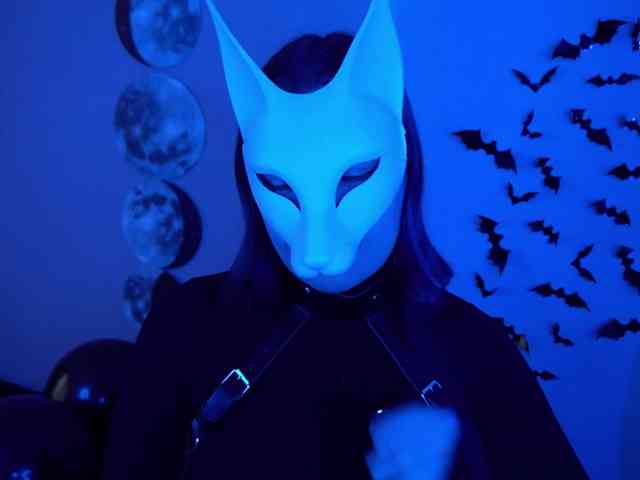 -VULPECULA- webcam