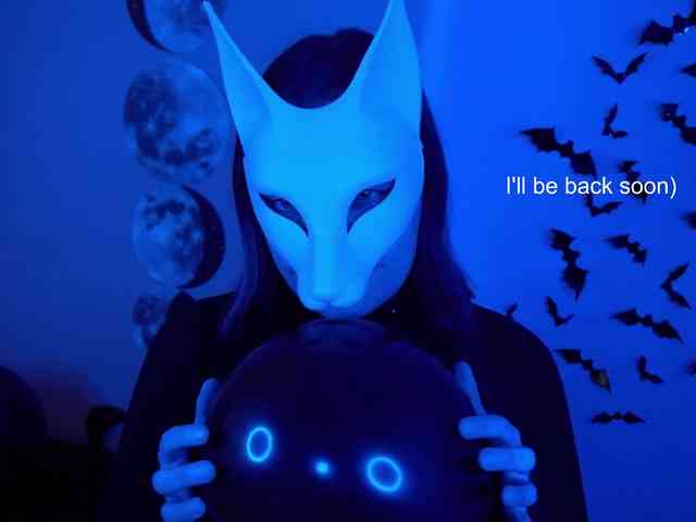 -VULPECULA- webcam