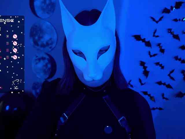 -VULPECULA- webcam