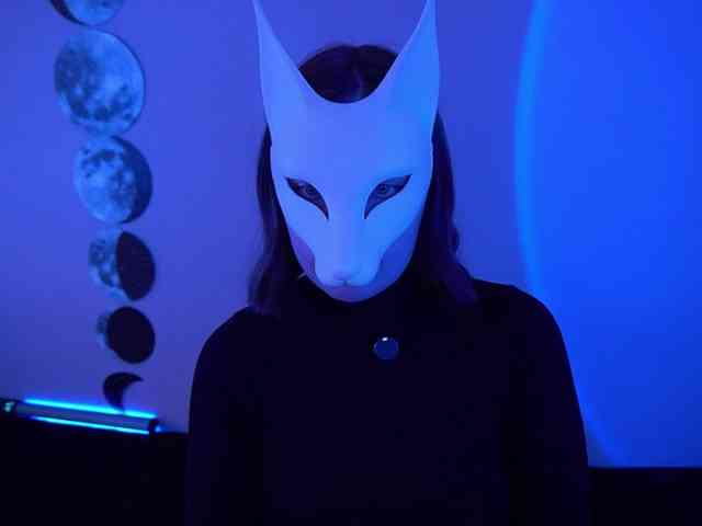 -VULPECULA- webcam