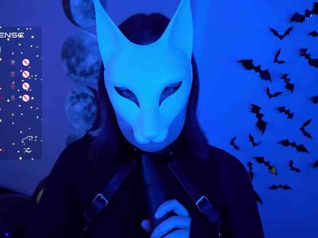 -VULPECULA- webcam