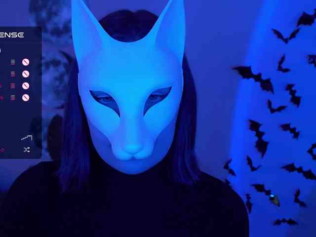 -VULPECULA- webcam