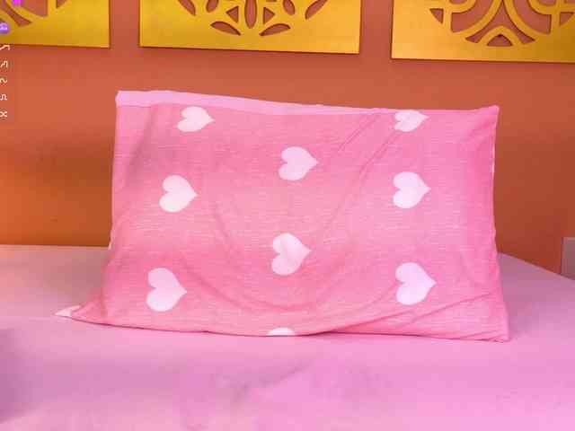 hikary-miyamoto webcam