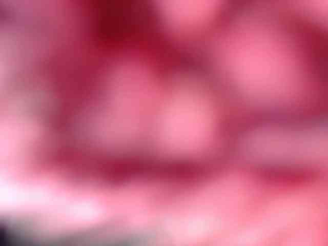 CreamyBum webcam