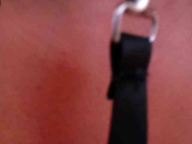 Laila-Stewart webcam