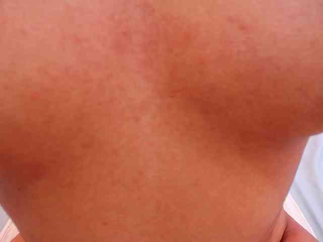 Laila-Stewart webcam