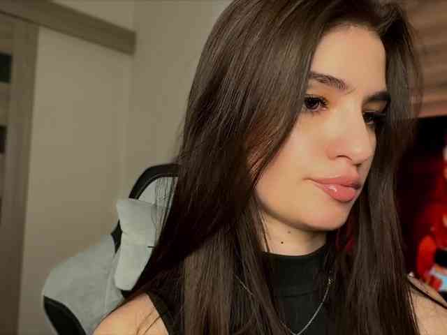Sofi-Mi webcam