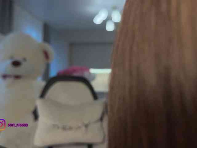 Sofi-Mi webcam