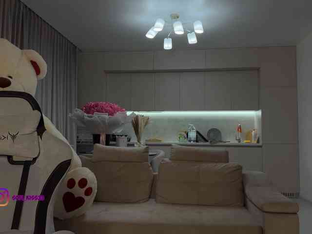 Sofi-Mi webcam