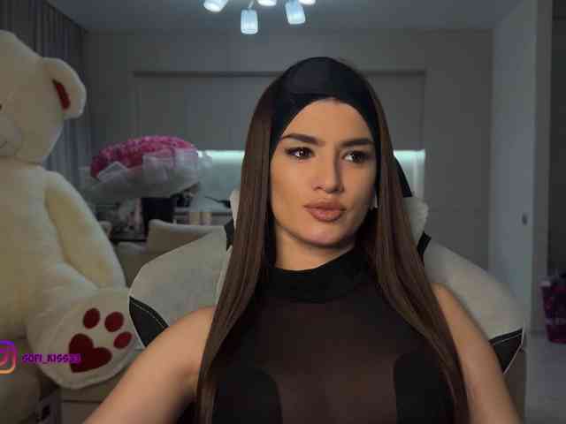 Sofi-Mi webcam