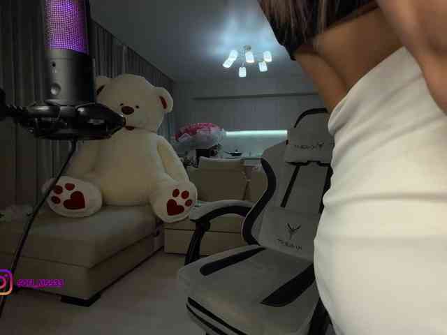 Sofi-Mi webcam