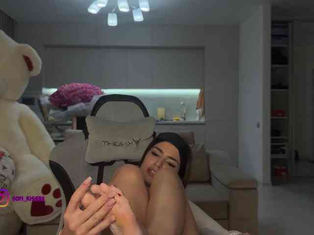 Sofi-Mi webcam