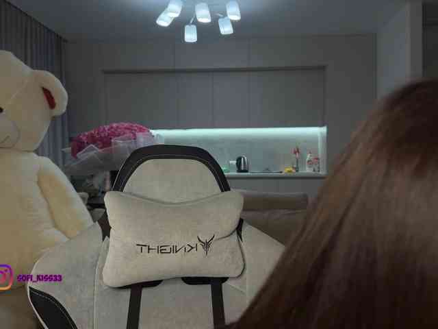 Sofi-Mi webcam