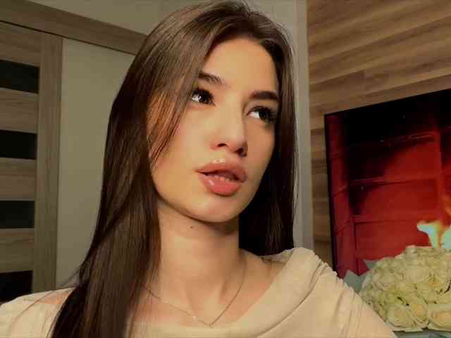 Sofi-Mi webcam