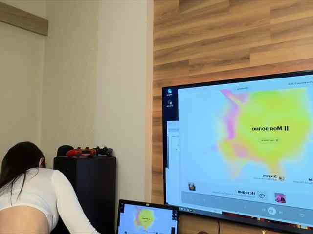 Sofi-Mi webcam