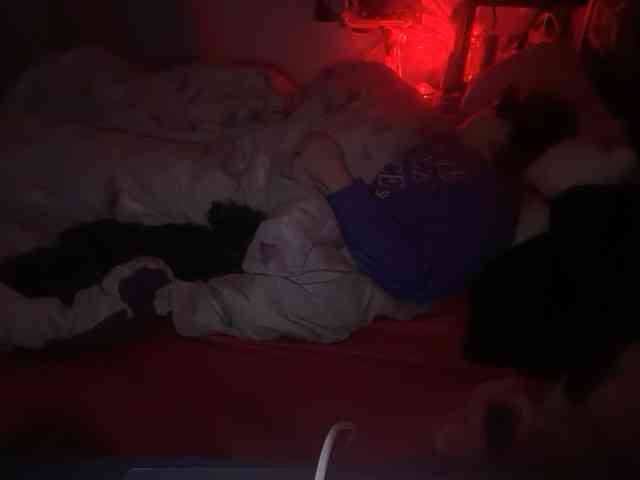 thickgingergoddess webcam