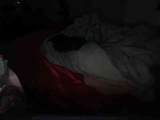 thickgingergoddess thickgingergoddess