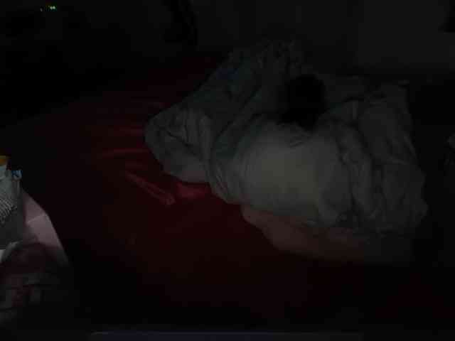 thickgingergoddess thickgingergoddess