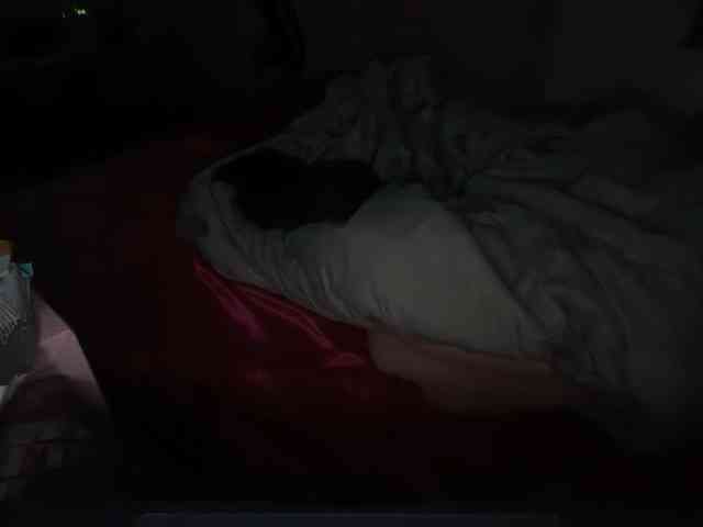 thickgingergoddess thickgingergoddess