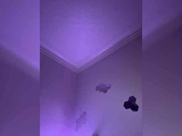 Enchantix webcam