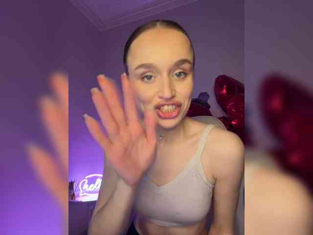 Enchantix webcam