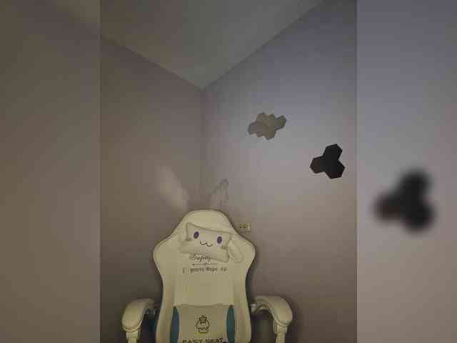 Enchantix webcam