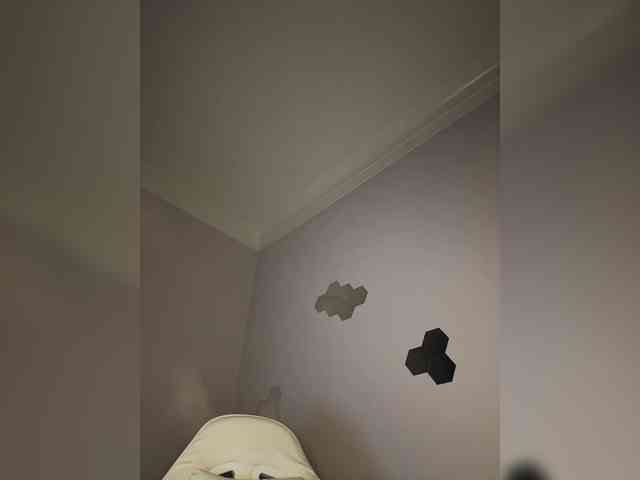 Enchantix webcam