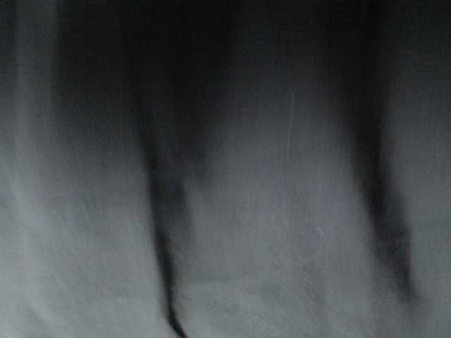 Pamela2023's BongaCams show and profile