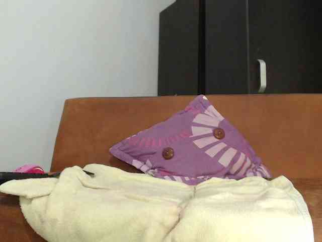 Pamela2023 webcam