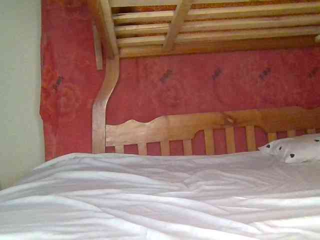 blackpuussy webcam