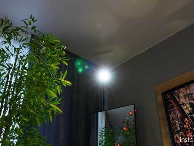 Cuterori's BongaCams show and profile