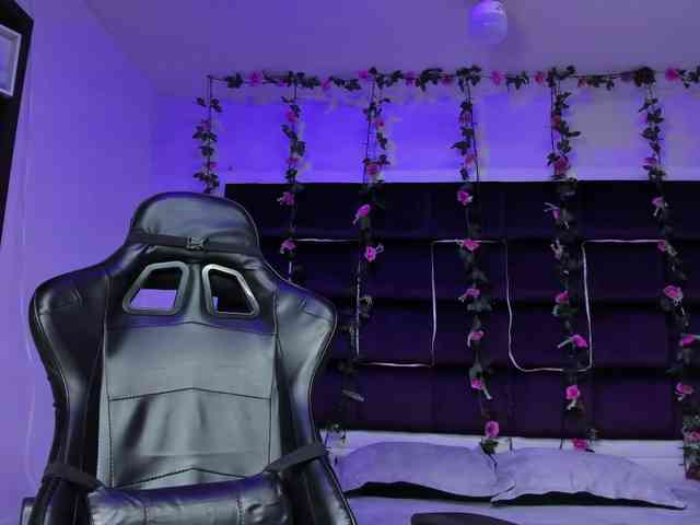 sweelanna webcam