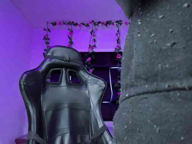 sweelanna webcam