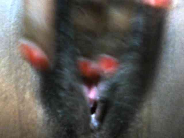 jenniella webcam