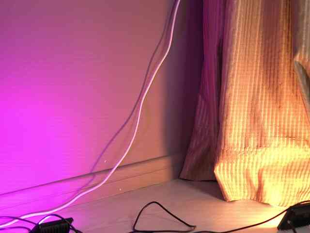 RobertaRosetti webcam