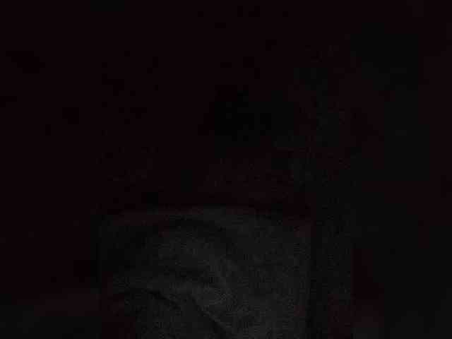 JillWhite webcam